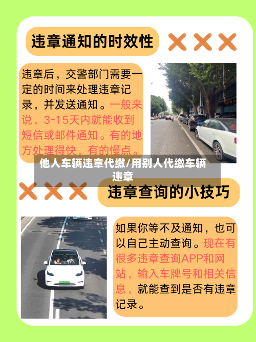 他人车辆违章代缴/用别人代缴车辆违章