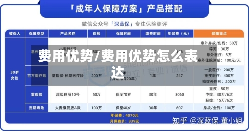 费用优势/费用优势怎么表达