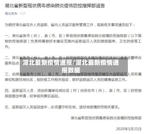 湖北最新疫情通报/湖北最新疫情通报数据