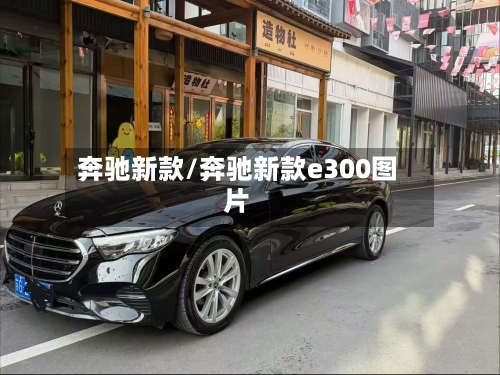 奔驰新款/奔驰新款e300图片