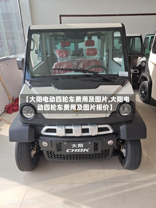 【大阳电动四轮车费用及图片,大阳电动四轮车费用及图片报价】