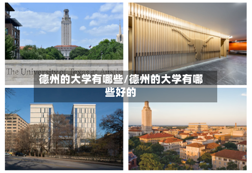 德州的大学有哪些/德州的大学有哪些好的