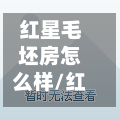 红星毛坯房怎么样/红星房子质量怎么样