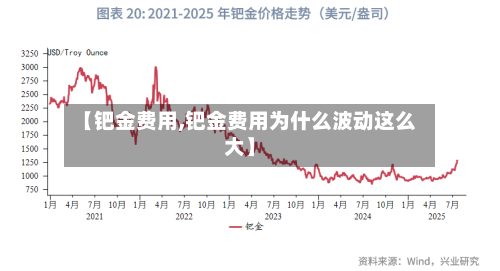 【钯金费用,钯金费用为什么波动这么大】