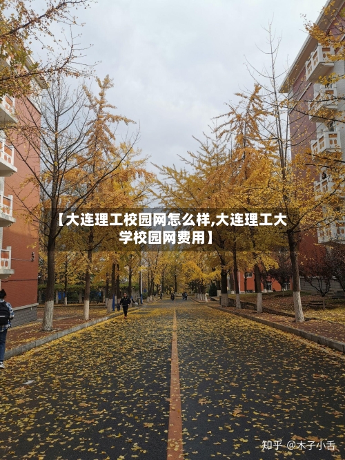 【大连理工校园网怎么样,大连理工大学校园网费用】
