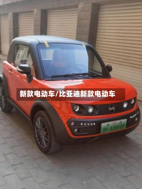 新款电动车/比亚迪新款电动车