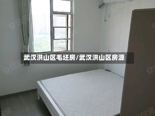 武汉洪山区毛坯房/武汉洪山区房源-第2张图片