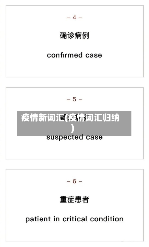 疫情新词汇(疫情词汇归纳)