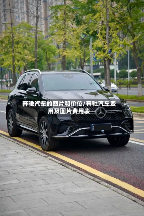 奔驰汽车的图片和价位/奔驰汽车费用及图片费用表-第2张图片