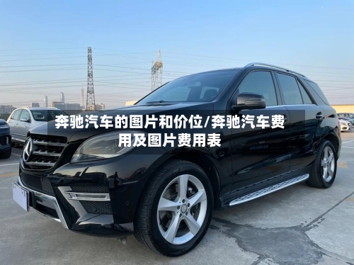 奔驰汽车的图片和价位/奔驰汽车费用及图片费用表-第3张图片