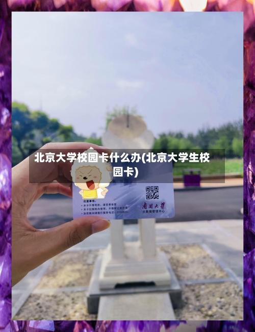北京大学校园卡什么办(北京大学生校园卡)-第2张图片