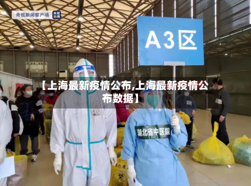 【上海最新疫情公布,上海最新疫情公布数据】-第2张图片
