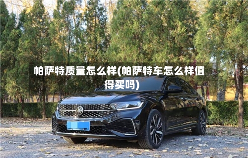 帕萨特质量怎么样(帕萨特车怎么样值得买吗)