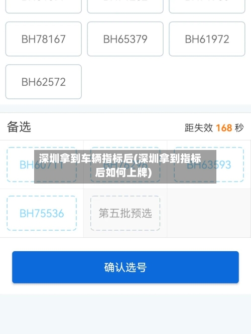 深圳拿到车辆指标后(深圳拿到指标后如何上牌)-第2张图片