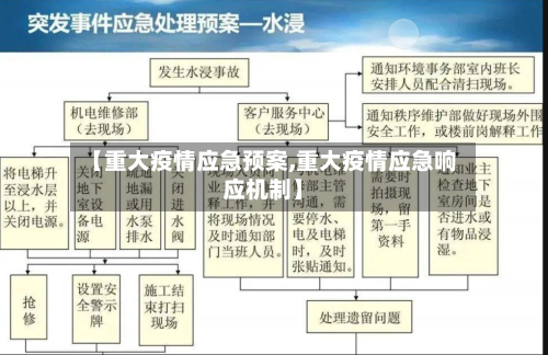 【重大疫情应急预案,重大疫情应急响应机制】-第3张图片
