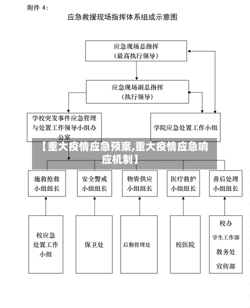 【重大疫情应急预案,重大疫情应急响应机制】