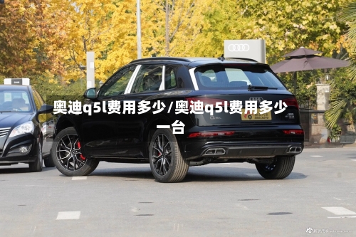 奥迪q5l费用多少/奥迪q5l费用多少一台-第2张图片
