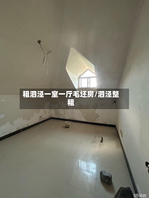 租泗泾一室一厅毛坯房/泗泾整租