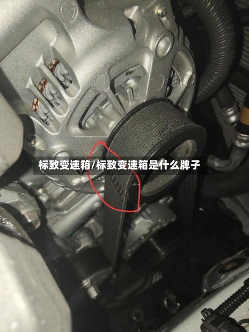 标致变速箱/标致变速箱是什么牌子-第1张图片