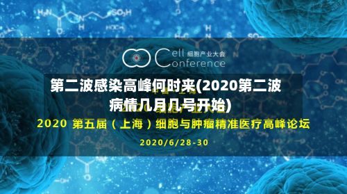第二波感染高峰何时来(2020第二波病情几月几号开始)-第2张图片