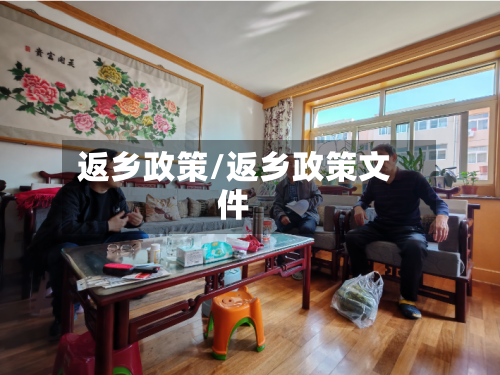 返乡政策/返乡政策文件-第3张图片