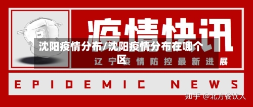 沈阳疫情分布/沈阳疫情分布在哪个区-第3张图片