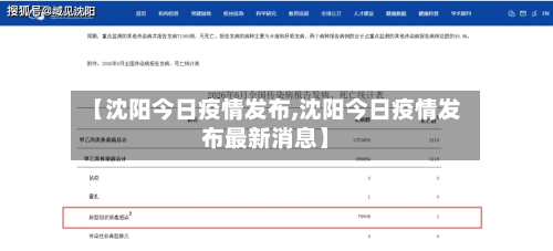 【沈阳今日疫情发布,沈阳今日疫情发布最新消息】-第2张图片