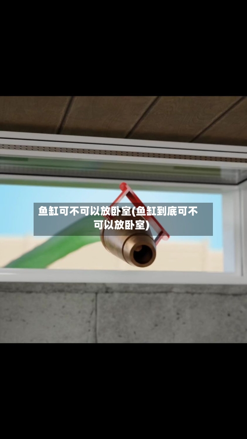 鱼缸可不可以放卧室(鱼缸到底可不可以放卧室)