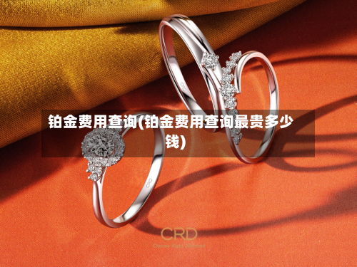 铂金费用查询(铂金费用查询最贵多少钱)