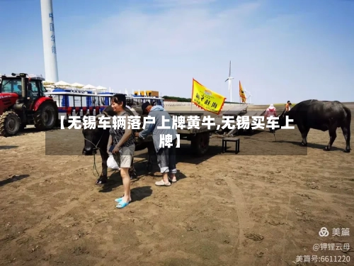 【无锡车辆落户上牌黄牛,无锡买车上牌】-第2张图片