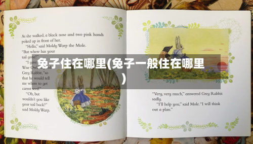 兔子住在哪里(兔子一般住在哪里)