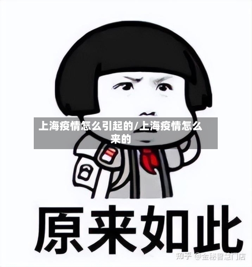 上海疫情怎么引起的/上海疫情怎么来的-第3张图片