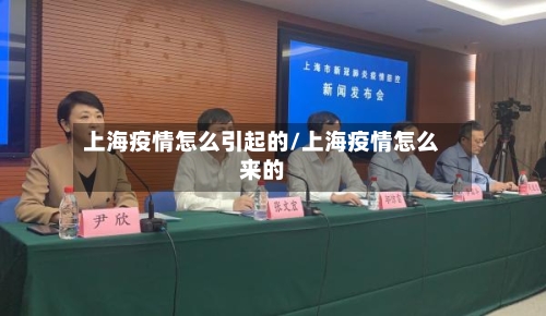 上海疫情怎么引起的/上海疫情怎么来的