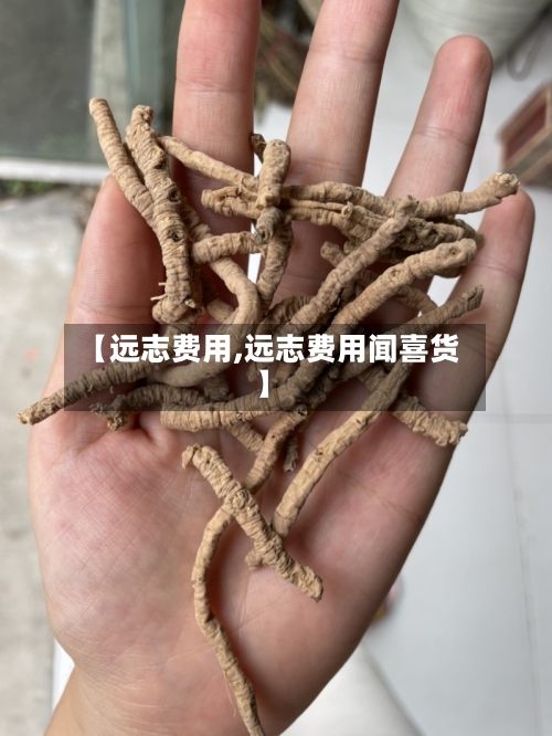 【远志费用,远志费用闻喜货】