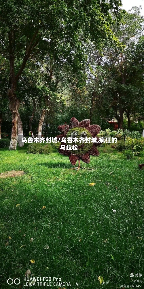 乌鲁木齐封城/乌鲁木齐封城,疯狂的马拉松-第2张图片