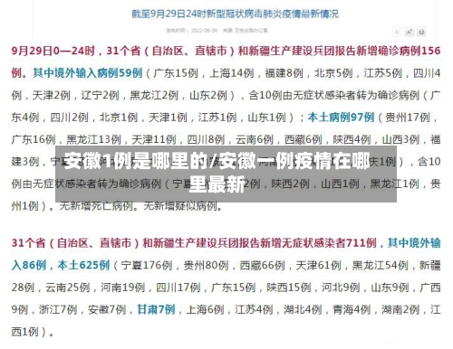 安徽1例是哪里的/安徽一例疫情在哪里最新