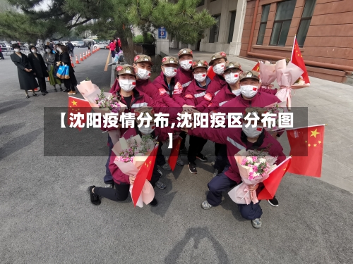 【沈阳疫情分布,沈阳疫区分布图】