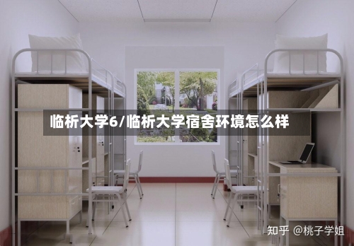 临析大学6/临析大学宿舍环境怎么样