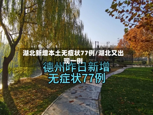 湖北新增本土无症状77例/湖北又出现一例-第3张图片