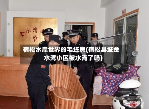 宿松水岸世界的毛坯房(宿松县城金水湾小区被水淹了吗)