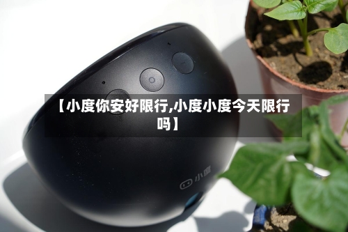 【小度你安好限行,小度小度今天限行吗】-第2张图片