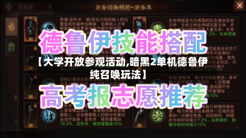 【大学开放参观活动,暗黑2单机德鲁伊纯召唤玩法】-第3张图片