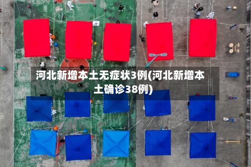 河北新增本土无症状3例(河北新增本土确诊38例)-第2张图片