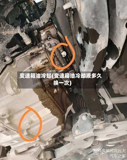 变速箱油冷却(变速箱油冷却液多久换一次)-第2张图片