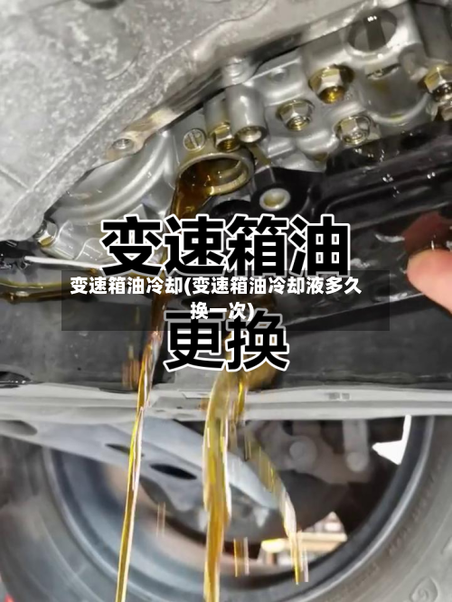 变速箱油冷却(变速箱油冷却液多久换一次)