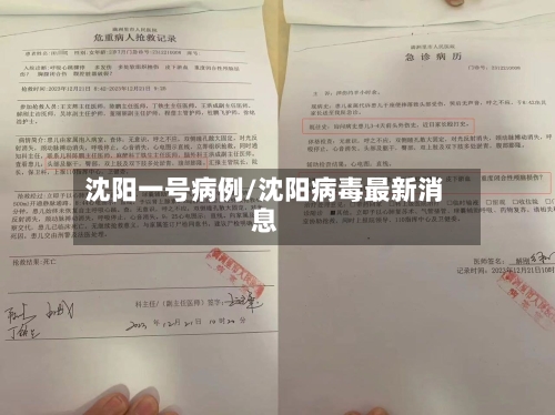 沈阳一号病例/沈阳病毒最新消息-第2张图片