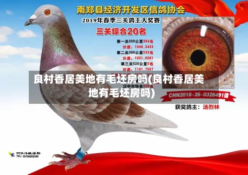 良村香居美地有毛坯房吗(良村香居美地有毛坯房吗)-第1张图片