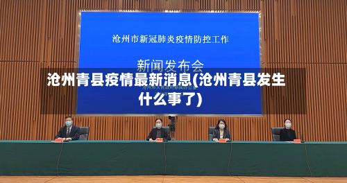 沧州青县疫情最新消息(沧州青县发生什么事了)-第3张图片