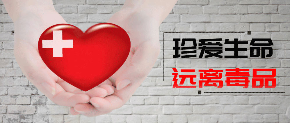 新型冠状肺炎实时动态(新冠肺炎实时动态数据)-第1张图片