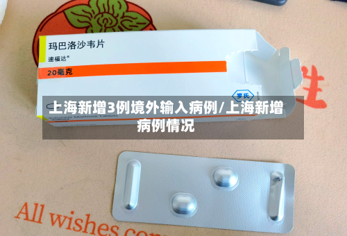 上海新增3例境外输入病例/上海新增病例情况-第2张图片